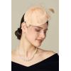 imageBABEYOND Fascinator Hat Veil Feather Fascinators Hair Clip Tea Party Pillbox Derby Hat Fascinator Bridal WeddingChampagne