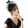 imageBABEYOND Fascinator Hats for Women Tea Party Hat Kentucky Fascinators Headband Derby Hats Wedding Flower Feathers Hair ClipBlack