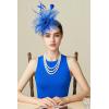 imageBABEYOND Fascinator Hats for Women Tea Party Hat Kentucky Fascinators Headband Derby Hats Wedding Flower Feathers Hair ClipBlue