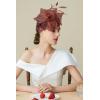 imageBABEYOND Fascinator Hats for Women Tea Party Hat Kentucky Fascinators Headband Derby Hats Wedding Flower Feathers Hair ClipCoffee
