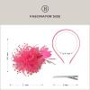imageBABEYOND Fascinator Hats for Women Tea Party Hat Kentucky Fascinators Headband Derby Hats Wedding Flower Feathers Hair ClipHot Pink
