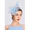 imageBABEYOND Fascinator Hats for Women Tea Party Hat Kentucky Fascinators Headband Derby Hats Wedding Flower Feathers Hair ClipLight Blue