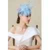 imageBABEYOND Fascinator Hats for Women Tea Party Hat Kentucky Fascinators Headband Derby Hats Wedding Flower Feathers Hair ClipLight Blue