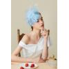imageBABEYOND Fascinator Hats for Women Tea Party Hat Kentucky Fascinators Headband Derby Hats Wedding Flower Feathers Hair ClipLight Blue