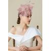 imageBABEYOND Fascinator Hats for Women Tea Party Hat Kentucky Fascinators Headband Derby Hats Wedding Flower Feathers Hair ClipNude Pink