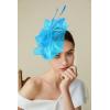 imageBABEYOND Fascinator Hats for Women Tea Party Hat Kentucky Fascinators Headband Derby Hats Wedding Flower Feathers Hair ClipSky Blue