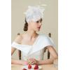 imageBABEYOND Fascinator Hats for Women Tea Party Hat Kentucky Fascinators Headband Derby Hats Wedding Flower Feathers Hair ClipWhite