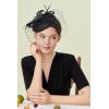 imageBABEYOND Fascinators Hat Veil Feather Hair Clip Tea Party Kentucky Pillbox Derby Bridal for WeddingBlack