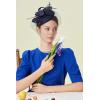 imageBABEYOND Fascinators Hat Veil Feather Hair Clip Tea Party Kentucky Pillbox Derby Bridal for WeddingDark Blue