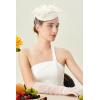 imageBABEYOND Fascinators Hat Veil Feather Hair Clip Tea Party Kentucky Pillbox Derby Bridal for WeddingIvory