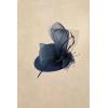imageBABEYOND Fascinators Hats for Women  Mini Top Tea Party Hat Veil Feather Kentucky Fascinator Flower Mesh Hat Hair ClipNavy Blue
