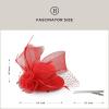 imageBABEYOND Fascinators Hats for Women  Mini Top Tea Party Hat Veil Feather Kentucky Fascinator Flower Mesh Hat Hair ClipRed