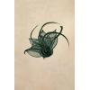 imageBABEYOND Fascinators Hats for Women  Tea Party Hat Kentucky Fascinator Derby Feather Flower Hair Clip Bridal WeddingDark Green