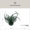 imageBABEYOND Fascinators Hats for Women  Tea Party Hat Kentucky Fascinator Derby Feather Flower Hair Clip Bridal WeddingDark Green