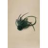 imageBABEYOND Fascinators Hats for Women  Tea Party Hat Kentucky Fascinator Derby Feather Flower Hair Clip Bridal WeddingDark Green
