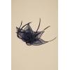 imageBABEYOND Fascinators Hats for Women  Tea Party Hat Kentucky Fascinator Derby Feather Flower Hair Clip Bridal WeddingNavy Blue