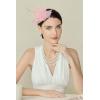 imageBABEYOND Fascinators Hats for Women  Tea Party Hat Kentucky Fascinator Derby Feather Flower Hair Clip Bridal WeddingPink
