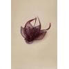 imageBABEYOND Fascinators Hats for Women  Tea Party Hat Kentucky Fascinator Derby Feather Flower Hair Clip Bridal WeddingWine Red