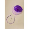imageBABEYOND Fascinators Hats for Women  Tea Party Hat Kentucky Fascinator Derby Flower Mesh Pillbox Hat for Bridal WeddingDark Purple