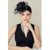 imageBABEYOND Fascinators Hats for Women  Tea Party Kentucky Fascinator Derby Church Hat Wedding Cocktail Headband with Hair ClipBlack