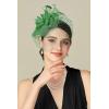 imageBABEYOND Fascinators Hats for Women  Tea Party Kentucky Fascinator Derby Hat Feathers Flower Mesh Knot Veil Headband Light BlueDark Green