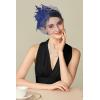imageBABEYOND Fascinators Hats for Women  Tea Party Kentucky Fascinator Derby Hat Feathers Flower Mesh Knot Veil Headband Light BlueNavy Blue