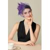 imageBABEYOND Fascinators Hats for Women  Tea Party Kentucky Fascinator Derby Hat Feathers Flower Mesh Knot Veil Headband Light BluePurple