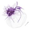 imageBABEYOND Fascinators Hats for Women  Tea Party Kentucky Fascinator Derby Hat Feathers Flower Mesh Knot Veil Headband Light BluePurple