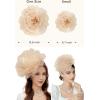 imageBABEYOND Fascinators Hats for Women  Tea Party Kentucky Fascinator Derby Hat Mesh Flower Fluffy Headband with Hair ClipChampagne