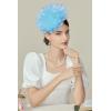 imageBABEYOND Fascinators Hats for Women  Tea Party Kentucky Fascinator Derby Hat Mesh Flower Fluffy Headband with Hair ClipLight Blue
