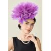imageBABEYOND Fascinators Hats for Women  Tea Party Kentucky Fascinator Derby Hat Mesh Flower Fluffy Headband with Hair ClipLight Purple