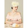 imageBABEYOND Fascinators Hats for Women  Tea Party Kentucky Fascinator Derby Pillbox Hat Mesh Feathers Headband with Hair ClipBeige