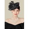 imageBABEYOND Fascinators Hats for Women  Tea Party Kentucky Fascinator Derby Pillbox Hat Mesh Feathers Headband with Hair ClipBlack
