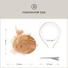 imageBABEYOND Fascinators Hats for Women  Tea Party Kentucky Fascinator Derby Pillbox Hat Mesh Feathers Headband with Hair ClipChampagne Gold
