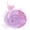 imageBABEYOND Fascinators Hats for Women  Tea Party Kentucky Fascinator Derby Pillbox Hat Mesh Feathers Headband with Hair ClipLavender