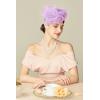 imageBABEYOND Fascinators Hats for Women  Tea Party Kentucky Fascinator Derby Pillbox Hat Mesh Feathers Headband with Hair ClipLavender