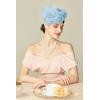 imageBABEYOND Fascinators Hats for Women  Tea Party Kentucky Fascinator Derby Pillbox Hat Mesh Feathers Headband with Hair ClipLight Blue