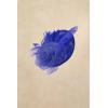 imageBABEYOND Fascinators Hats for Women  Tea Party Kentucky Fascinator Derby Pillbox Hat Mesh Feathers Headband with Hair ClipRoyal Blue