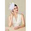 imageBABEYOND Fascinators Hats for Women  Tea Party Kentucky Fascinator Derby Pillbox Hat Mesh Feathers Headband with Hair ClipWhite