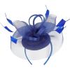 imageBABEYOND Womens Fascinator Hat Kentucky Hat Feather Derby Fascinator Tea Party Hat for Cocktail WeddingBlue