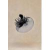 imageBABEYOND Womens Fascinator Hat Kentucky Hat Feather Derby Fascinator Tea Party Hat for Wedding PartyBlack