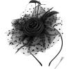 imageBABEYOND Fascinator Hats for Women Tea Party Hat Kentucky Fascinators Headband Derby Hats Wedding Flower Feathers Hair ClipBlack