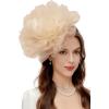 imageBABEYOND Fascinators Hats for Women  Tea Party Kentucky Fascinator Derby Hat Mesh Flower Fluffy Headband with Hair ClipChampagne