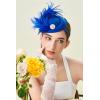 imageBABEYOND Fascinator Hat for Women Tea Party Kentucky Derby Pillbox Headpiece Costume Feathers Carnival Head WearRoyal Blue