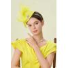 imageBABEYOND Fascinator Hat for Women Tea Party Kentucky Derby Pillbox Headpiece Costume Feathers Carnival Head WearYellow