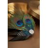 imageBABEYOND Hair Clip Peacock Feather with Rhinestones 1920s Peacock Flapper Fascinator One Size Fits Most Accessories for Women Style 1
