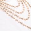 imageBABEYOND Long Pearl Necklace Faux Pearls Necklace Set Beaded Long Pearls Necklace 1920s Gatsby Costume JewelryChampagne