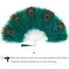 imageBABEYOND Marabou Feather Fan 20s Vintage Folding Fan Flapper Hand Fan for Costume Dancing Show Tea Party Wedding Decoration PinkPink RibPeacock Dark Green