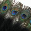 imageBABEYOND Peacock Marabou Feather Fan  Roaring 20s Vintage Style Flapper Accessories for Costume Halloween Tea PartyBlackgold Rib