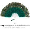 imageBABEYOND Peacock Marabou Feather Fan  Roaring 20s Vintage Style Flapper Accessories for Costume Halloween Tea PartyDark GreenWhite Rib